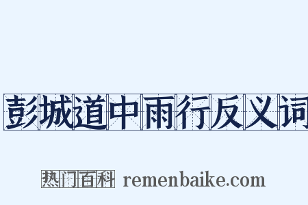 彭城道中雨行反义词是什么意思的图片